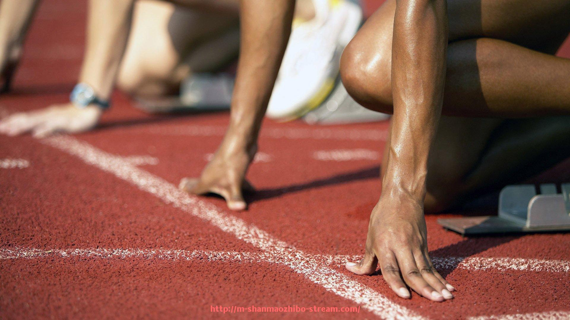 山猫直播官网-意甲球队霸主是谁？历史与现状全面分析