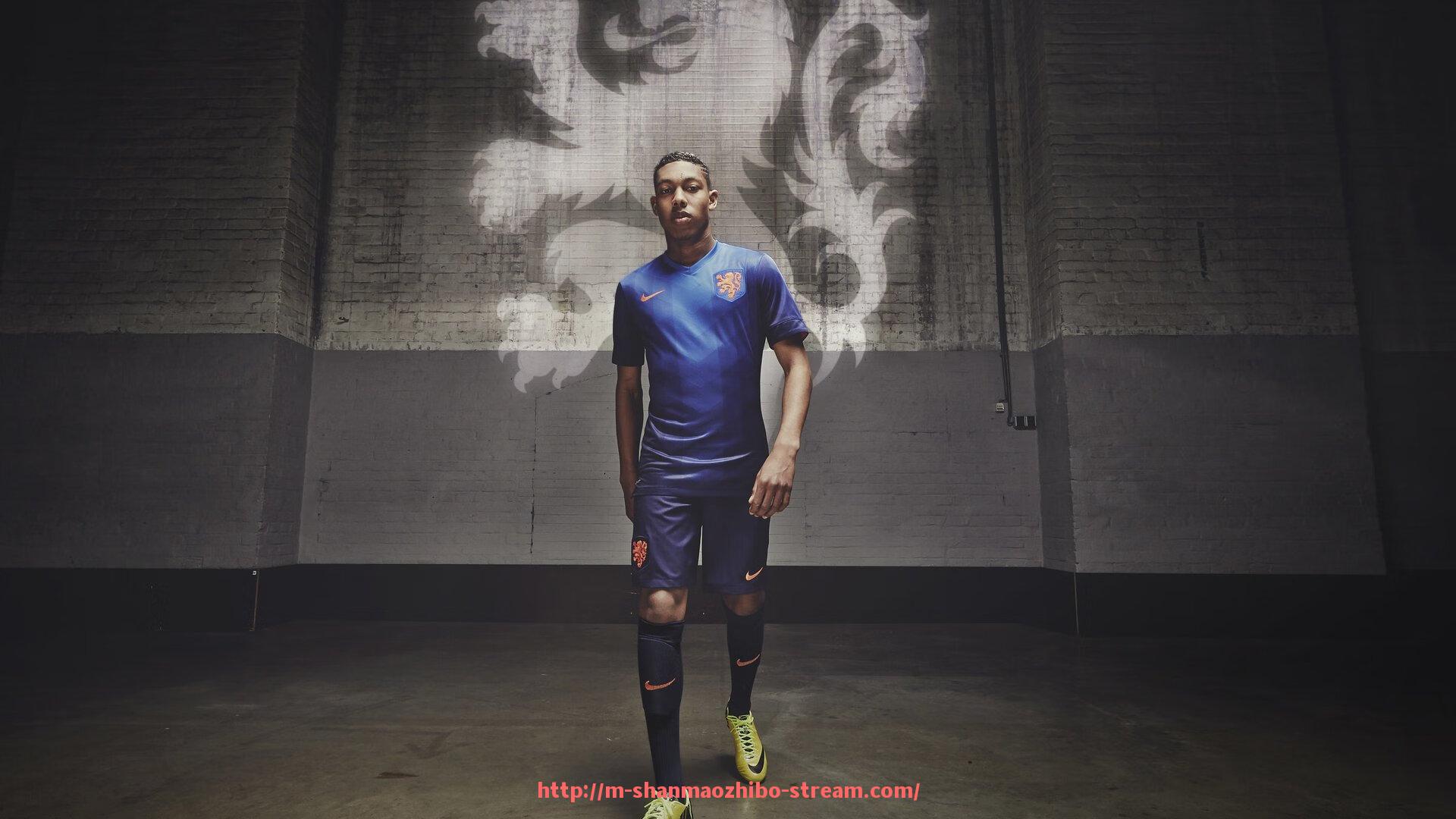 山猫直播官网-多功能健身器材购买指南：实用性、品牌与预算的综合考量